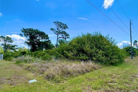Land in Port Charlotte, Florida № 2161127