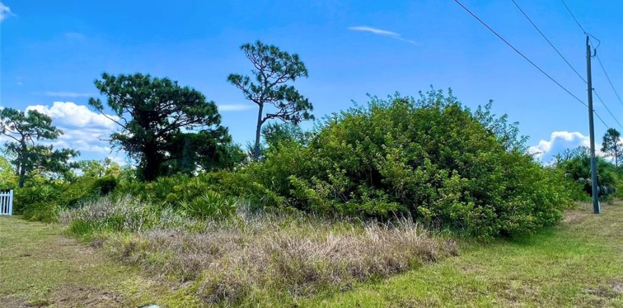 Land in Port Charlotte, Florida № 2161127
