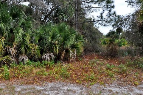 Land in North Port, Florida № 2160422 - photo 2
