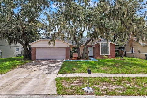 House in Riverview, Florida 3 bedrooms, 130.62 sq.m. № 2225511