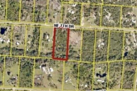 Terreno en venta en Okeechobee, Florida № 1152034 - foto 1