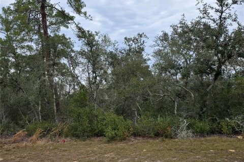Terrain à Ocala, Floride № 2104381