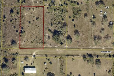 Land in Okeechobee, Florida № 2163664 - photo 15