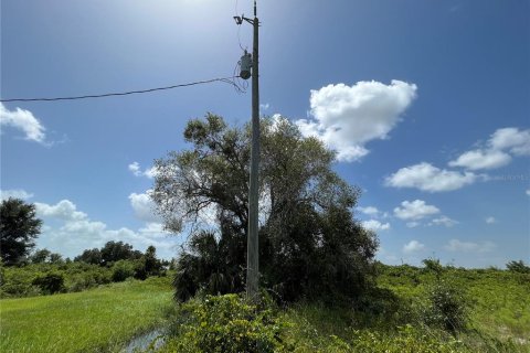 Land in Okeechobee, Florida № 2163664 - photo 9