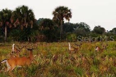 Land in Okeechobee, Florida № 2163664 - photo 17