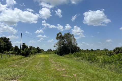 Land in Okeechobee, Florida № 2163664 - photo 5