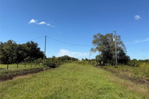 Land in Okeechobee, Florida № 2163664 - photo 11