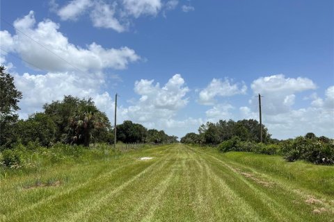 Land in Okeechobee, Florida № 2163664 - photo 7