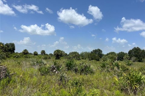 Land in Okeechobee, Florida № 2163664 - photo 8