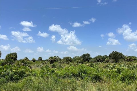Land in Okeechobee, Florida № 2163664 - photo 3