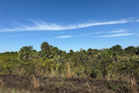 Land in Okeechobee, Florida № 2163664 - photo 10