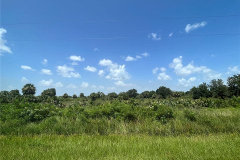 Land in Okeechobee, Florida № 2163664 - photo 2