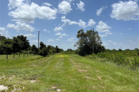 Land in Okeechobee, Florida № 2163664 - photo 4