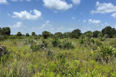Land in Okeechobee, Florida № 2163664