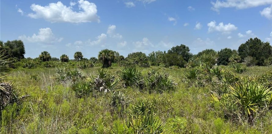 Land in Okeechobee, Florida № 2163664