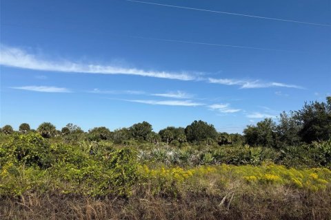 Land in Okeechobee, Florida № 2163664 - photo 13
