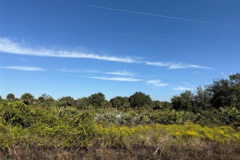 Land in Okeechobee, Florida № 2163664 - photo 14