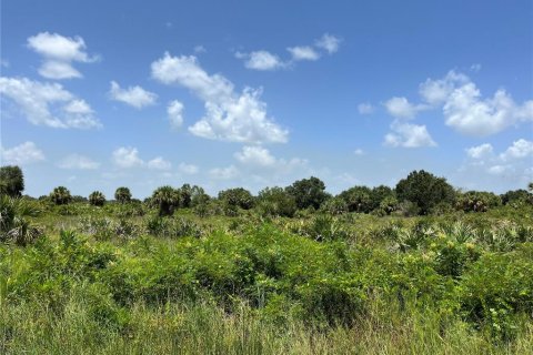 Land in Okeechobee, Florida № 2163664 - photo 6