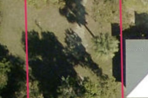 Land in Fort Myers, Florida № 2202078 - photo 2