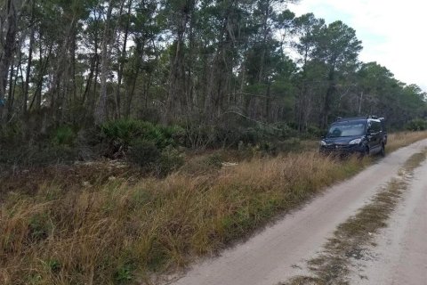 Land in Sebring, Florida № 2161548 - photo 3