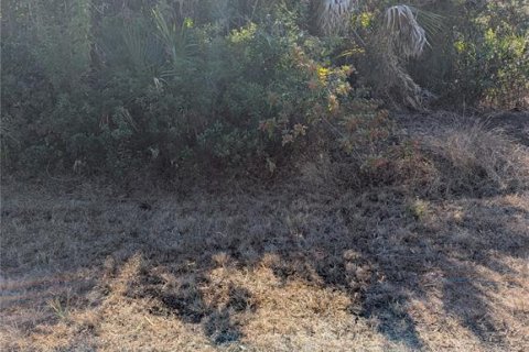 Land in North Port, Florida № 2108391 - photo 3