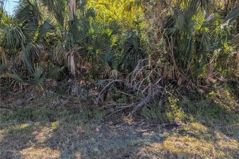 Land in North Port, Florida № 2108391 - photo 11