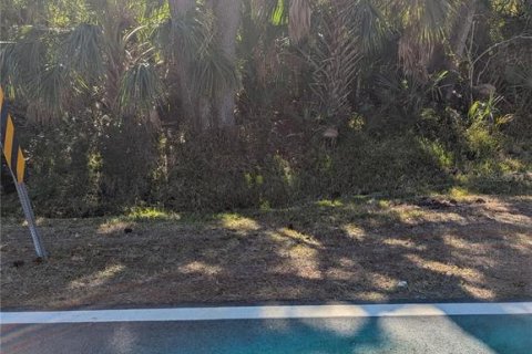 Land in North Port, Florida № 2108391 - photo 8