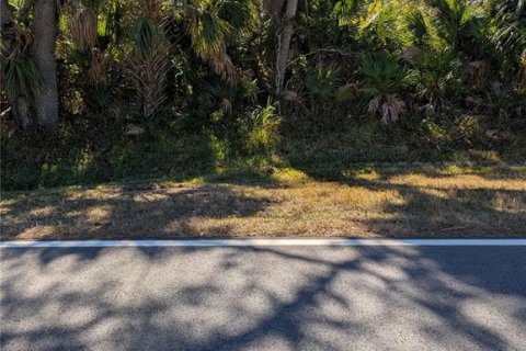 Land in North Port, Florida № 2108391 - photo 9