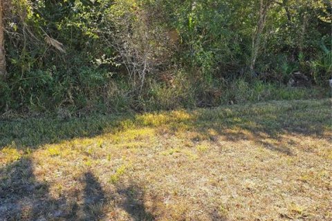 Land in North Port, Florida № 2108391 - photo 13