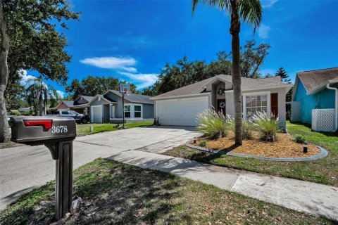 House in Palm Harbor, Florida 4 bedrooms, 141.77 sq.m. № 1843555 - photo 5