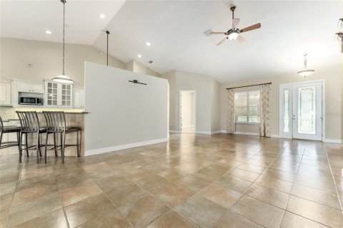 House in Ocklawaha, Florida 7 bedrooms, 561.5 sq.m. № 1793616 - photo 16