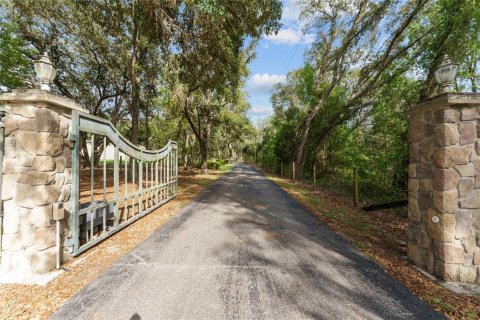 House in Ocklawaha, Florida 7 bedrooms, 561.5 sq.m. № 1793616 - photo 4
