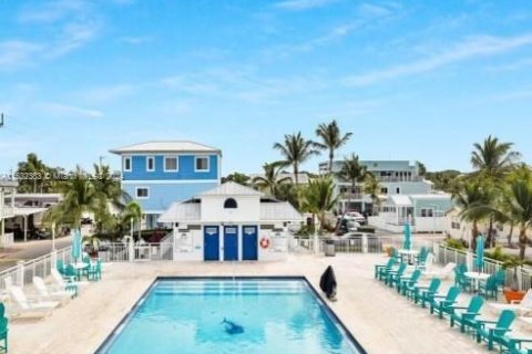 Terrain à vendre à Key Largo, Floride № 1933893 - photo 14