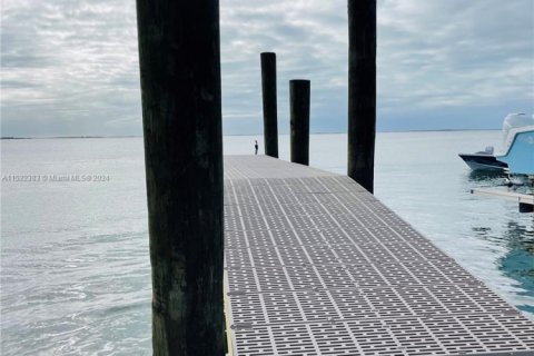 Terrain à vendre à Key Largo, Floride № 1933893 - photo 4