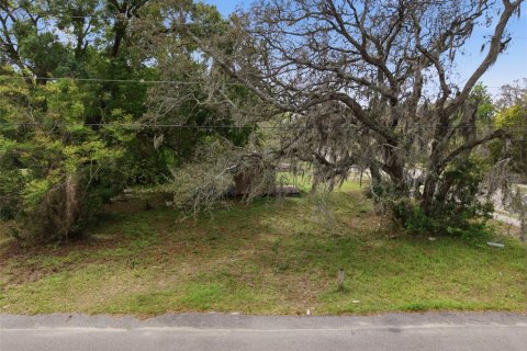 Land in Apopka, Florida № 2232995 - photo 5