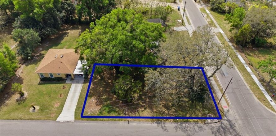 Land in Apopka, Florida № 2232995