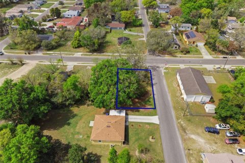 Land in Apopka, Florida № 2232995 - photo 14
