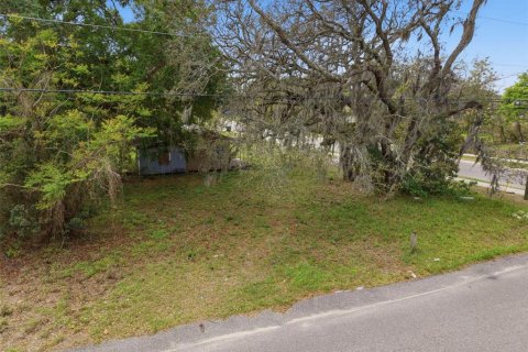 Land in Apopka, Florida № 2232995 - photo 4