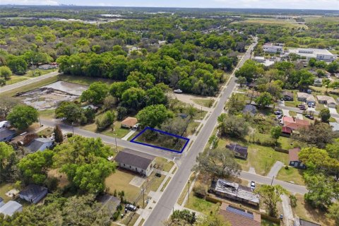 Land in Apopka, Florida № 2232995 - photo 13
