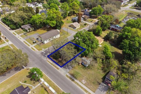Land in Apopka, Florida № 2232995 - photo 18