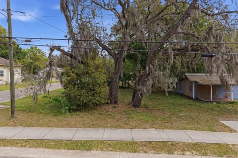 Land in Apopka, Florida № 2232995 - photo 2
