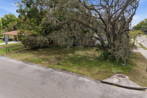 Land in Apopka, Florida № 2232995 - photo 3