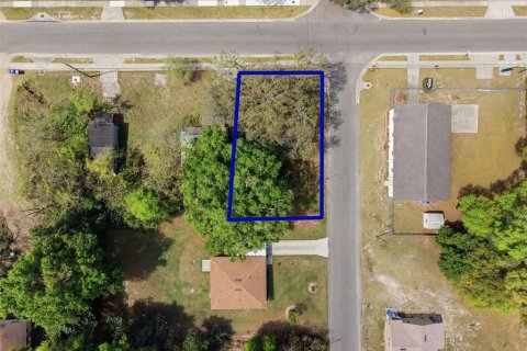 Land in Apopka, Florida № 2232995 - photo 16