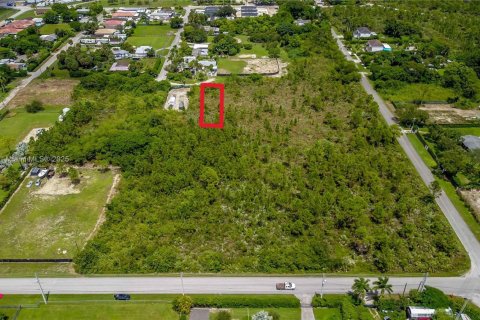 Terreno en venta en Miami, Florida № 1954037 - foto 12
