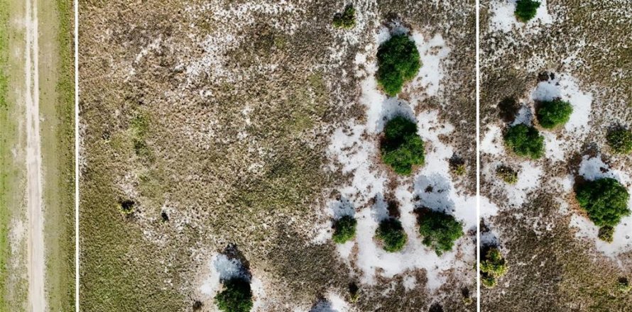 Land in Okeechobee, Florida № 2221192