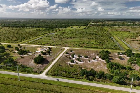Land in Okeechobee, Florida № 2221192 - photo 7