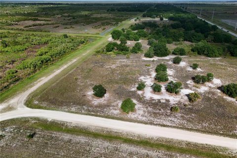 Land in Okeechobee, Florida № 2221192 - photo 20
