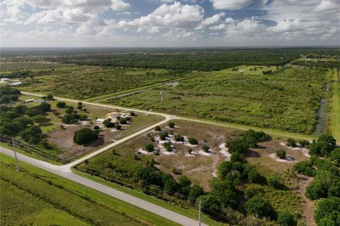 Land in Okeechobee, Florida № 2221192 - photo 8
