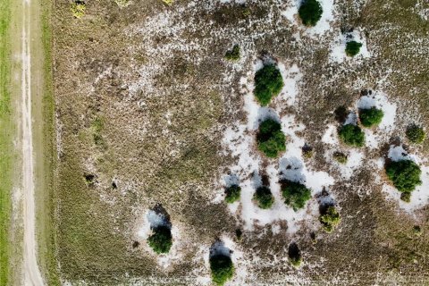 Land in Okeechobee, Florida № 2221192 - photo 18