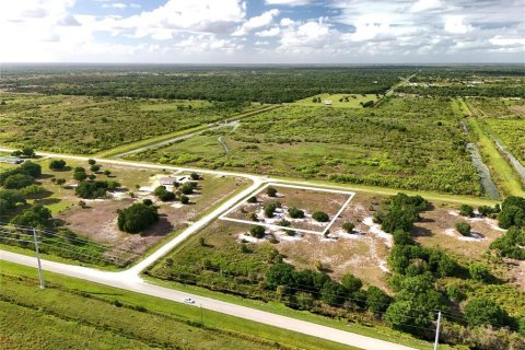 Land in Okeechobee, Florida № 2221192 - photo 29